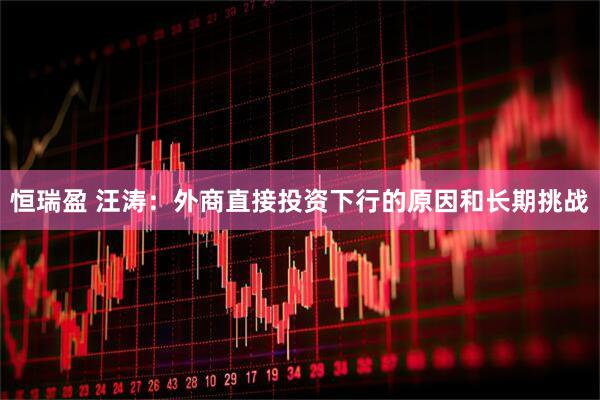 恒瑞盈 汪涛：外商直接投资下行的原因和长期挑战