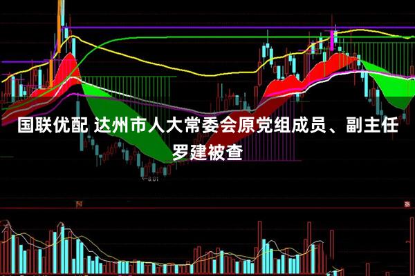 国联优配 达州市人大常委会原党组成员、副主任罗建被查