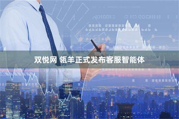 双悦网 瓴羊正式发布客服智能体