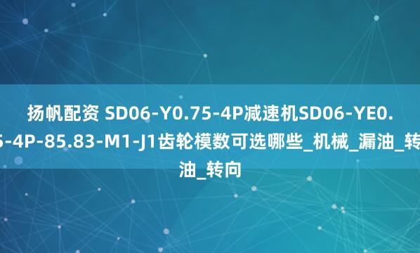 扬帆配资 SD06-Y0.75-4P减速机SD06-YE0.75-4P-85.83-M1-J1齿轮模数可选哪些_机械_漏油_转向
